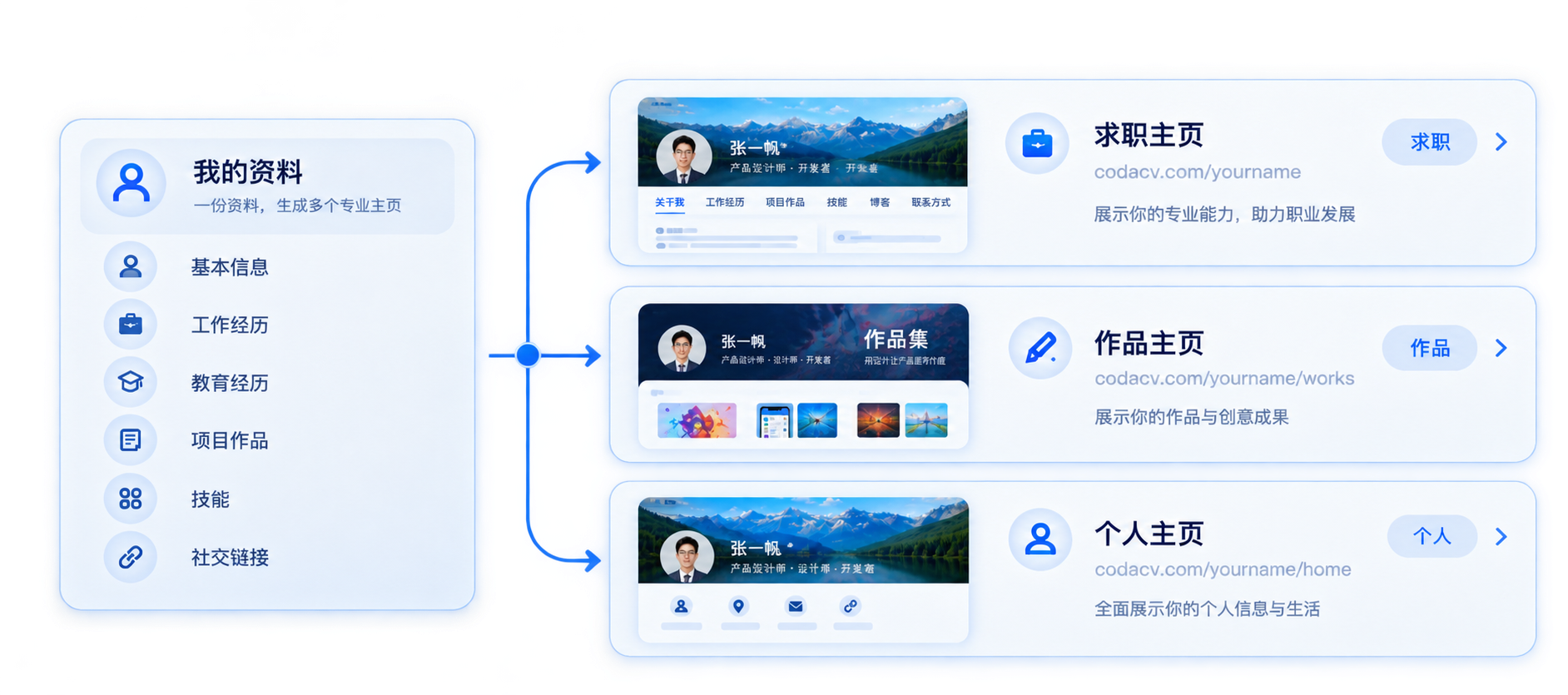 一份资料分出职业主页、作品主页和个人主页
